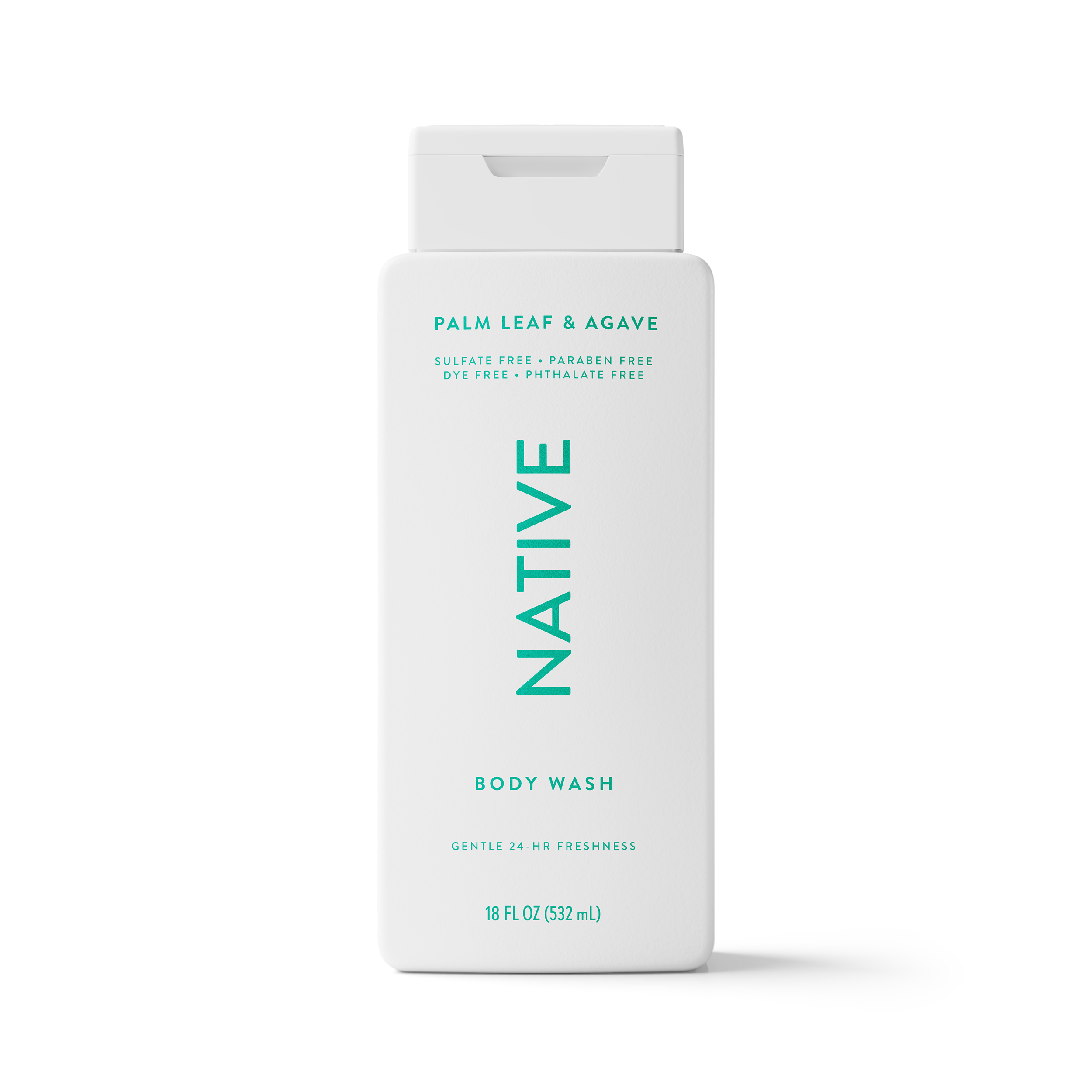 image00-Body_Wash-Palm_Leaf_Agave-Classic-18oz-80819506_913f9769-70fc-4b23-9c3e-56619fd13c4b.png